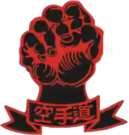 toukon ryu logo